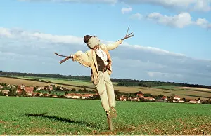 Shadows: SCARECROW - IN FIELD