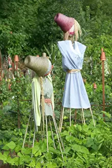 Allotment: Scarecrows - as a wildlife deterrent in Allotment