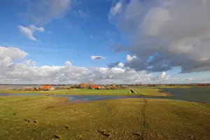 Zeeland: scene of Zuidkust Schouwen nature reserve in winter