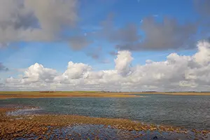 Zeeland: scene of Zuidkust Schouwen nature reserve in winter