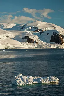 Florist: Scenic, Antarctica