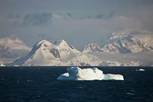 Florist: Scenic, Antarctica
