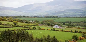 Marilyn: A scenic landscape of the Dingle Penninsula