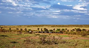 Spirituality: A scenic on the Masai Mara