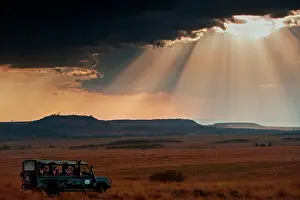 Restuccia: Scenic Masai Mara, Kenya