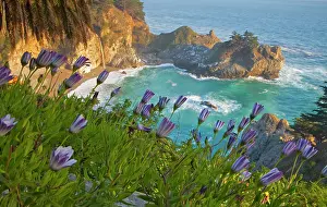 Julia: Scenic McWay Falls tumbles into the beach