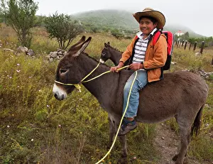 Materials: Schoolboy on a donkey - Guanajuato Mexico