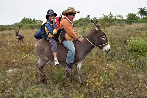 Materials: Schoolboys on a donkey - Guanajuato Mexico