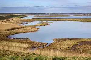 Schouwen: Schouwen-Duiveland Nature Reserve - Netherlands