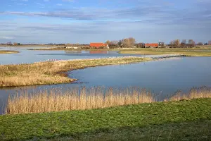 Schouwen: Schouwen-Duiveland Nature Reserve - Netherlands