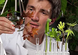 Laboratory: Scientist - Etienne Couturier at the laboratory