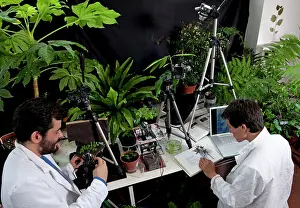 Scientists: Scientists - Stephane Douady & Etienne Couturier