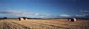 Walter: Scotland, Highland, Autumn hay rolls in