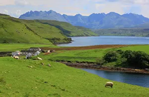 Skye: Scotland, Inner Hebrides, Isle of Skye, Duirinish