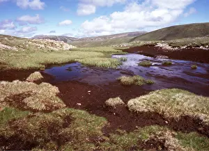 Bogs: SCOTLAND - Peat Bog landscape