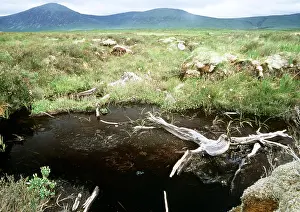 Rannoch: SCOTLAND, Rannoch Moor - Peat Bog landscape - eroding