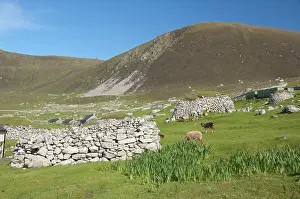 Kilda: Scotland, St. Kilda Islands, Outer Hebrides
