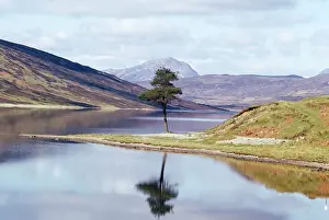 Lochs: Scotland - tree reflection