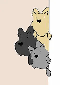 Everyday: Three Scottie Dogs looking round door