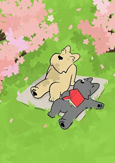 Everyday: Two Scottie Dogs relaxing in the garden looking