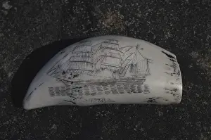 Poaching: Scrimshaw