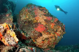Silhuettes: Scuba diver and big rock covered with red encrusting sponges