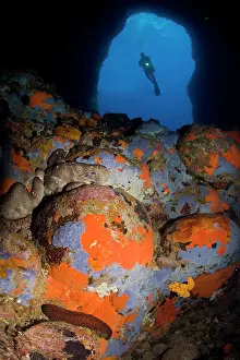 Latium: Scuba diver in cave and rocks covered with sponges, Ponza Is