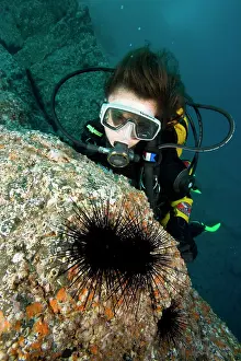 Dives: scuba diver with diadema sea urchin - Madeira Island Portuga