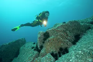 Dives: scuba diver exploring the rocky bottom with diadema sea urch