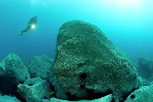 Dives: scuba diver exploring the rocky bottom Madeira Island Portug