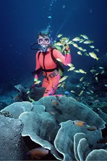 Bubbles: Scuba DIVER - with fish and coral