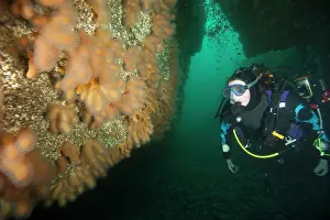 Fingers: A scuba diver inspects an underwater archway covered in Dead