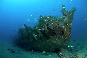 Wrecks: Scuba diver with Japanese wreck of II World War Lombok islan