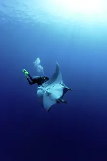Mantas: Scuba Diver and Manta Ray - San Benedicto, Revillagigedo, So