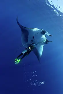 Mantas: Scuba Diver and Manta Ray - San Benedicto, Revillagigedo, So