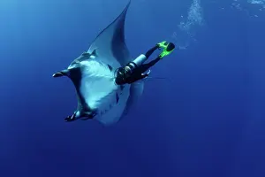 Mantas: Scuba Diver and Manta Ray - San Benedicto, Revillagigedo, So