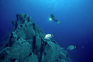 Madere: Scuba diver rocky bottom breams - Madeira Island Portugal At