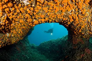 Amalfi: Scuba diver in a swimming through covered with warm water co