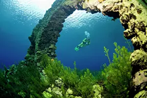 Hobbies: Scuba diver in the underwater world of the lake