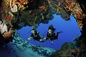 Cozumel: Scuba diving along the Coral reef - Island of COZUMEL