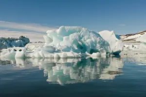 Longyearbyen: Sculpted Iceberg, Hornsund Fiord, on the
