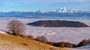Beeches: Sea of cloud between the Jura and the Northern Alps