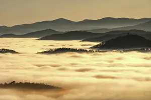 Subalpine: Sea of clouds in the Vosges. In December 2019, temperatures
