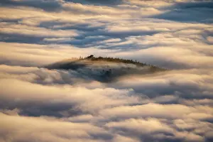 Subalpine: Sea of clouds in the Vosges. In December 2019, temperatures