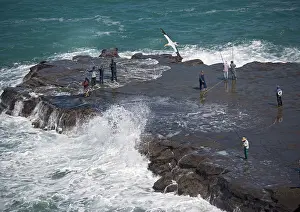 Muriwai: Sea fishermen on rocky promontory at Muriwai beach