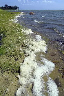 Foam: Sea Foam