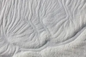 Baltic: Sea foam on a beach - Germany