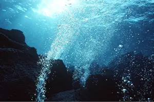 Valerie & Ron Taylor: SEA - Hot Gas pouring from rocks, 5m