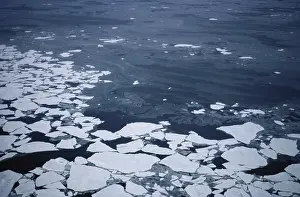 Breaking: Sea Ice
