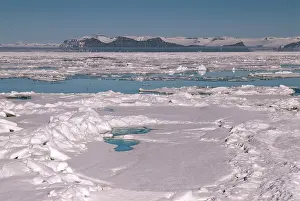 Drifting: Sea ice drifting in front of a coastline with mountains and